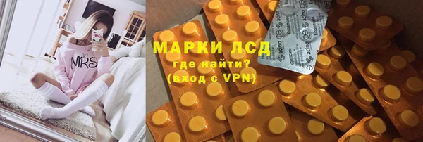 индика Балахна
