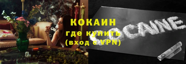 индика Балахна