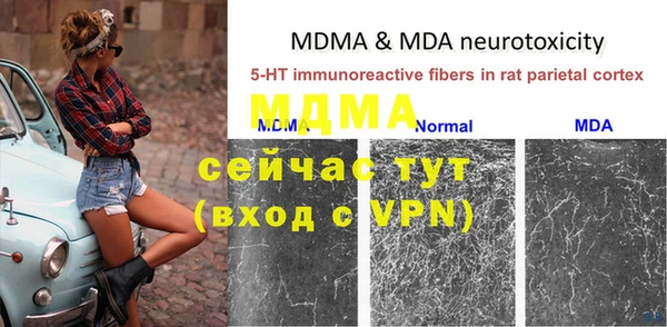 индика Балахна
