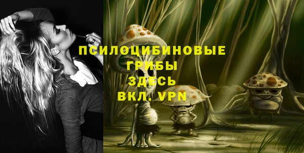 гидра Баксан