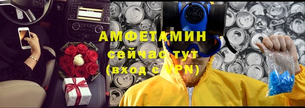 индика Балахна