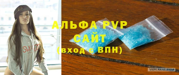 индика Балахна