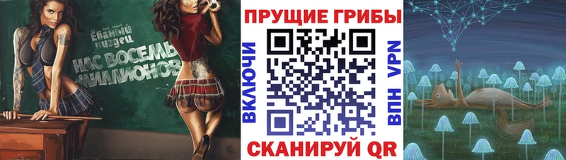 мега маркетплейс  Нижний Ломов  Псилоцибиновые грибы ЛСД  наркошоп 
