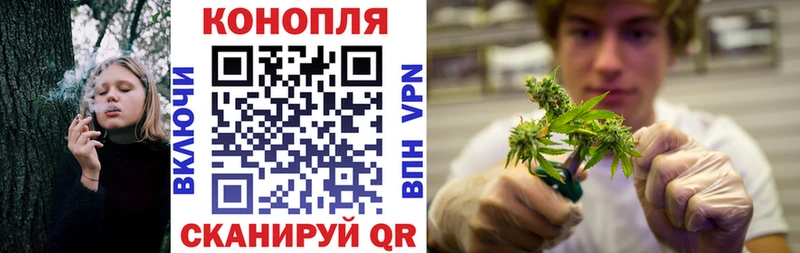 Бошки марихуана индика  Нижний Ломов 